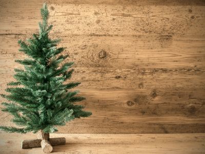 Hvilket juletræ er bedst for miljøet? 
